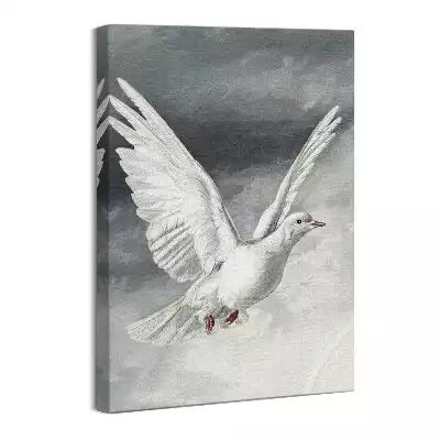 Obraz na płótnie Biały gołąb Duch Święty
