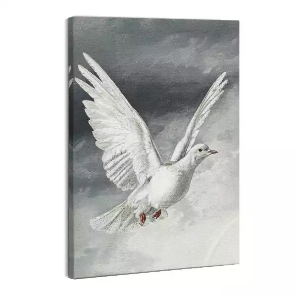 Obraz canvas Biały gołąb Duch Święty