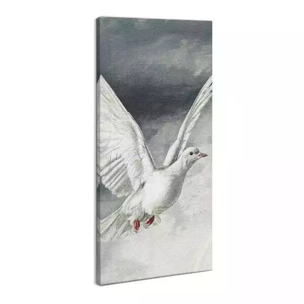 Foto obraz na płótnie Biały gołąb Duch Święty